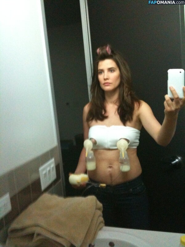 Cobie Smulders Desnudo Foto filtrada #157