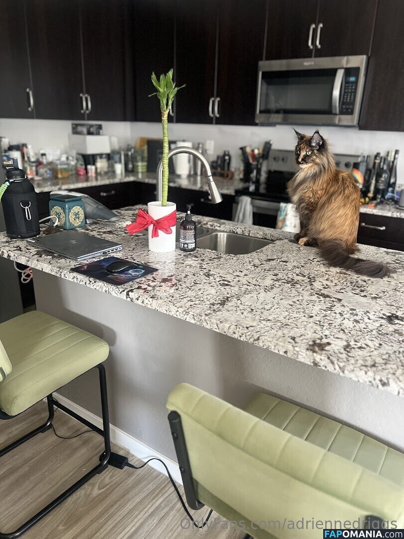 adrienne.driggs / adriennedriggs Desnudo OnlyFans  Foto filtrada #9