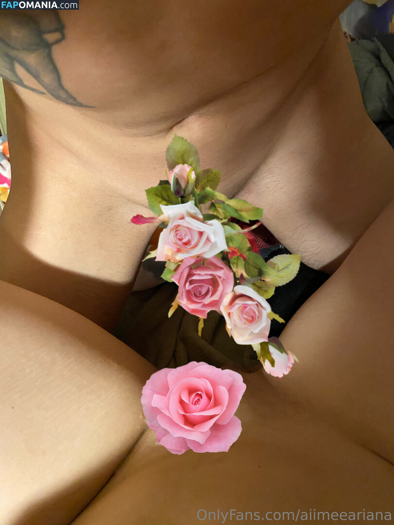aiimeeariana Desnudo OnlyFans  Foto filtrada #3