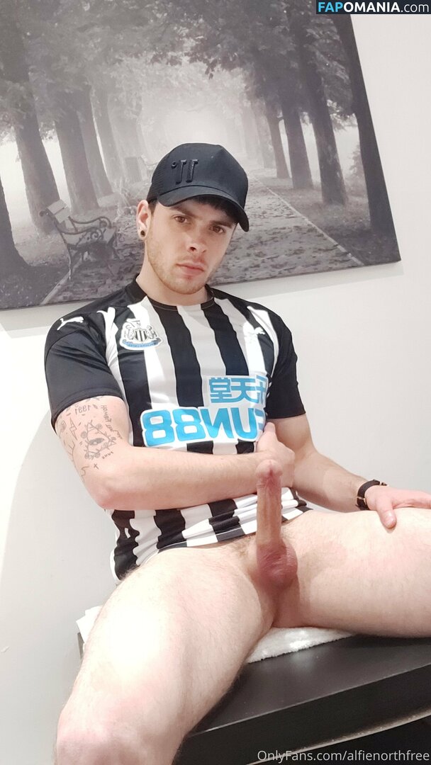 alfienorth / alfienorthfree Desnudo OnlyFans  Foto filtrada #1