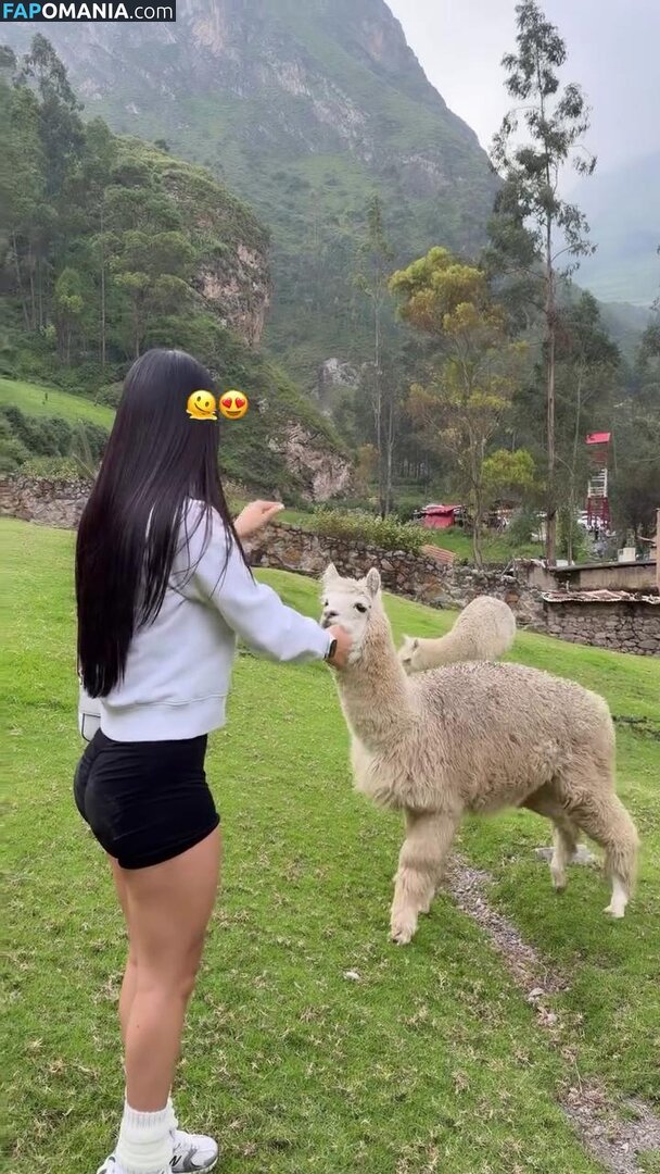 Anyelina Zarria Saico / anyelinaz / anyelinazarria Desnudo OnlyFans  Foto filtrada #29