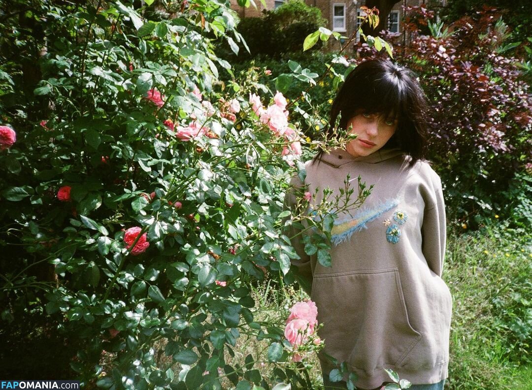 Billie Eilish / Fake / billeeilish / billieeilish Desnudo OnlyFans  Foto filtrada #2228