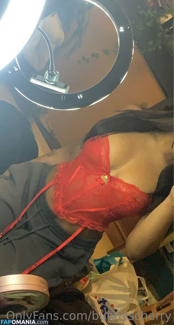 Bunnyscherry / bunnycherry4741 Desnudo OnlyFans  Foto filtrada #14