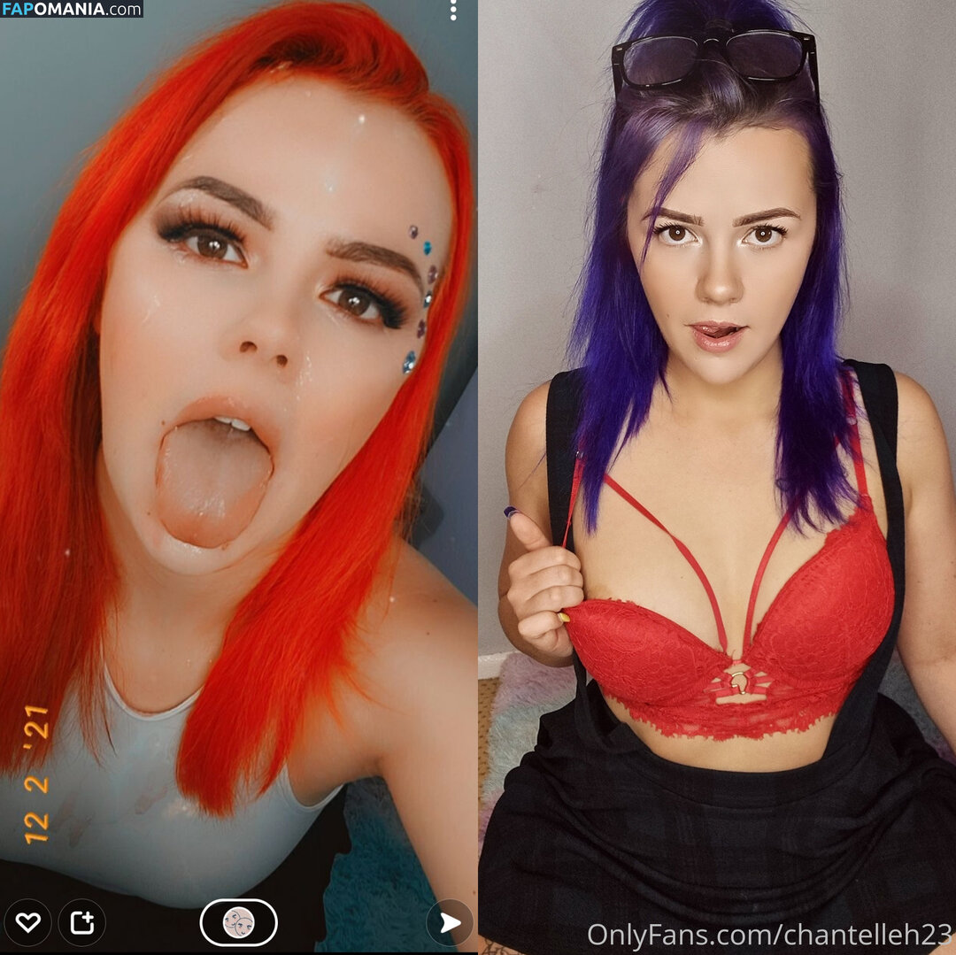 chantelleh23 Desnudo OnlyFans  Foto filtrada #11