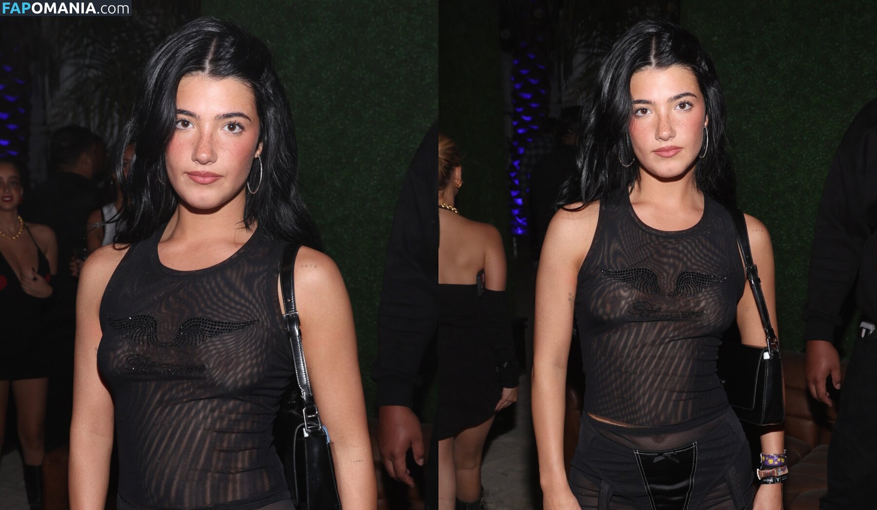 Charli D'Amelio / Charli Damelio / charlidamelio / charliesdamelio Desnudo OnlyFans  Foto filtrada #1550