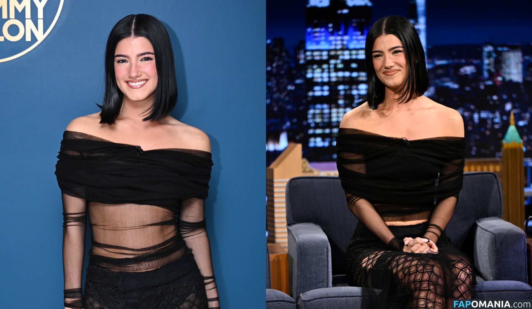 Charli D'Amelio / Charli Damelio / charlidamelio / charliesdamelio Desnudo OnlyFans  Foto filtrada #1560