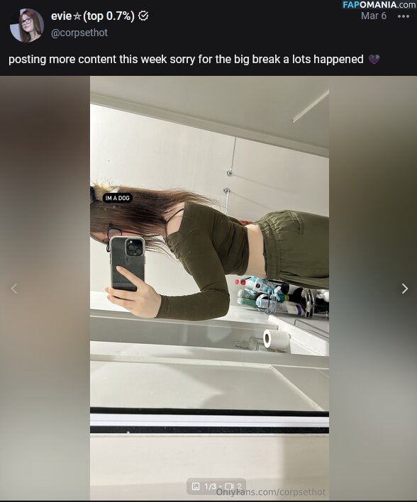 Evie Desnudo OnlyFans  Foto filtrada #13