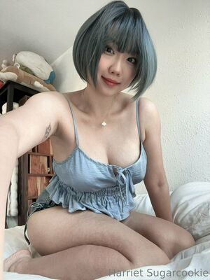 Harriet Sugarcookie