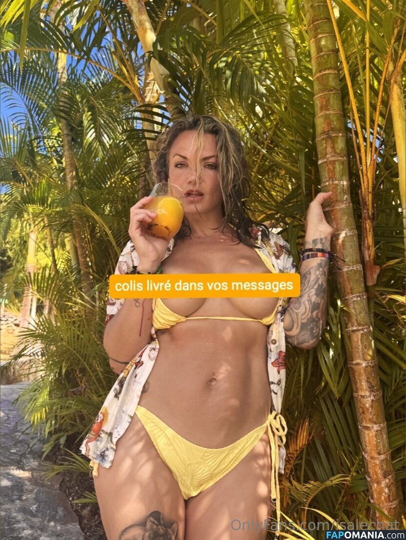 Isabelle Desjardins / isalechat Desnudo OnlyFans  Foto filtrada #12