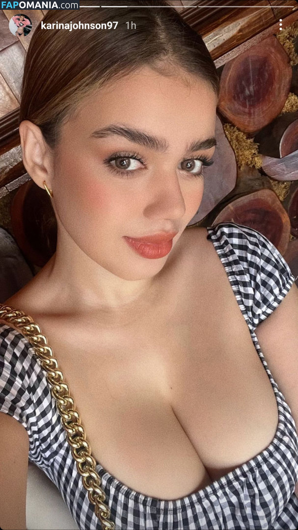 Karina Johnson / karinajohnson97 Desnudo OnlyFans  Foto filtrada #23