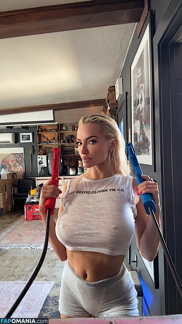 Lindsey Pelas / https: / lindseypelas / lindseypelas.co Desnudo OnlyFans  Foto filtrada #31