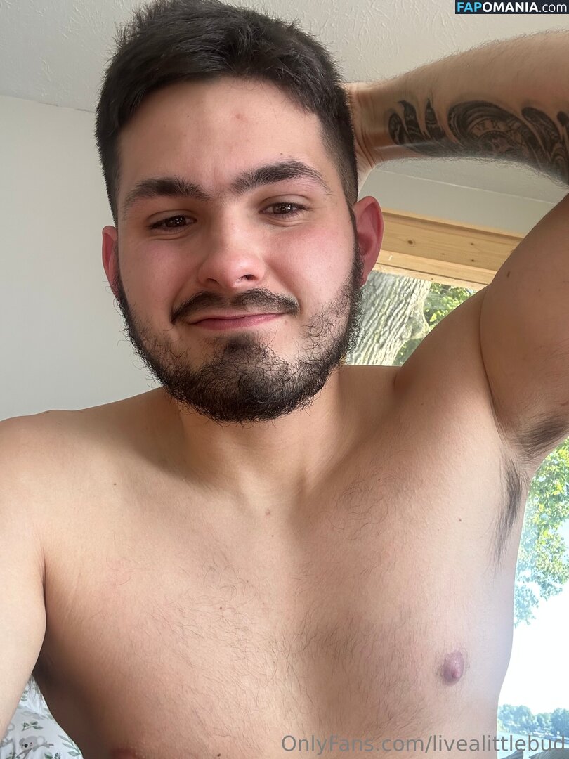livealittlebud Desnudo OnlyFans  Foto filtrada #2