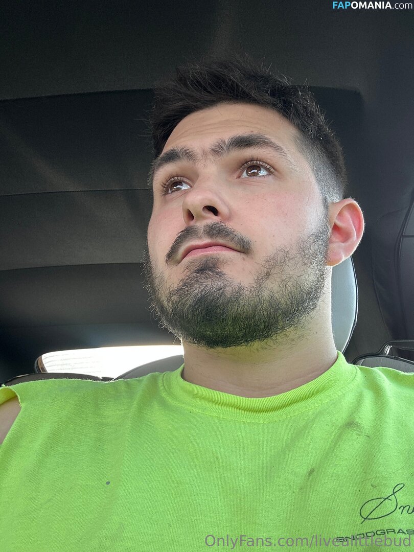 livealittlebud Desnudo OnlyFans  Foto filtrada #5