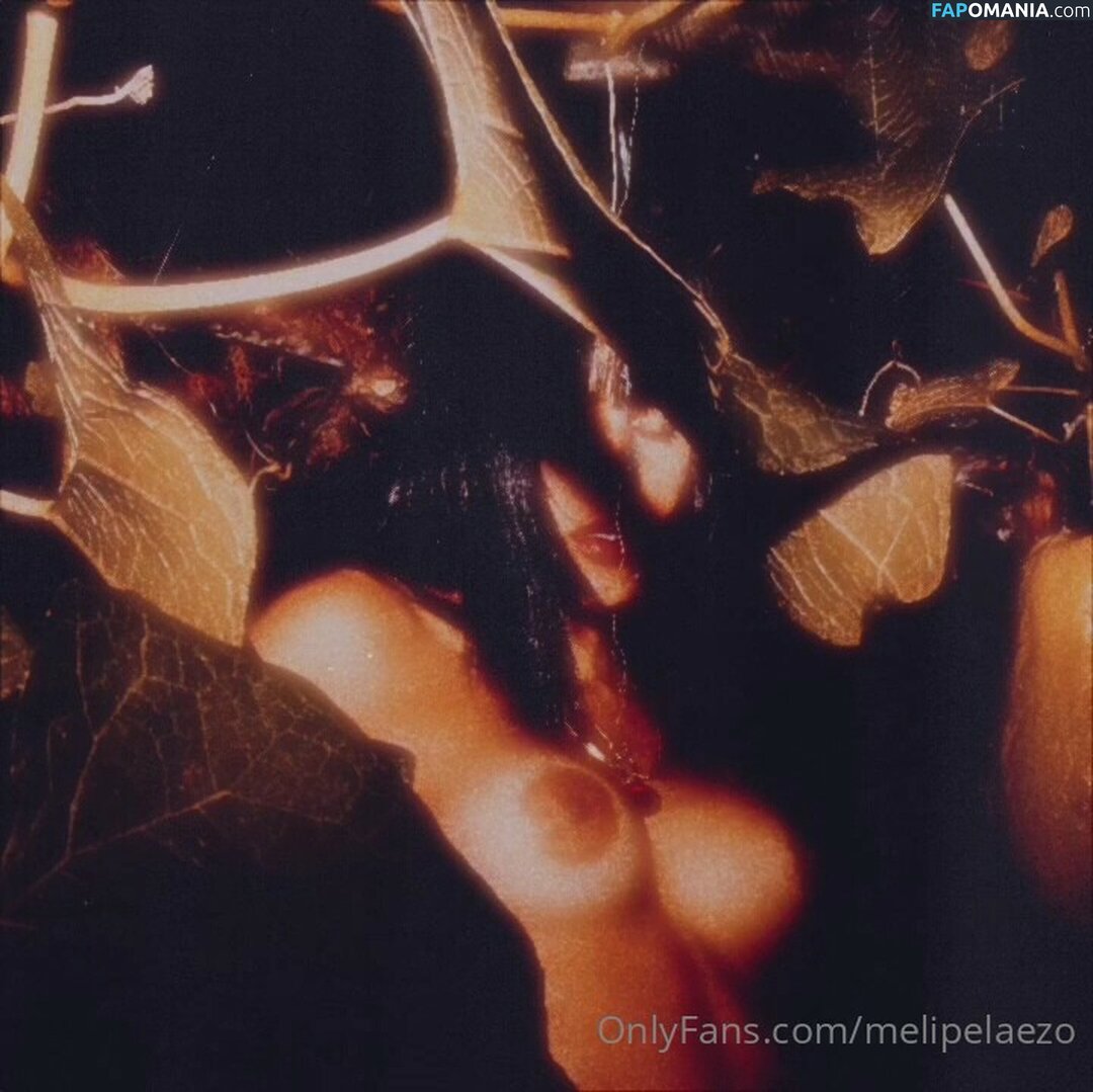 Meli Pelaez / melipelaezo Desnudo OnlyFans  Foto filtrada #9