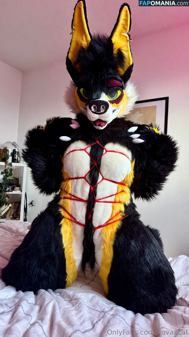 novaxcat / novaxxcat Desnudo OnlyFans  Foto filtrada #1