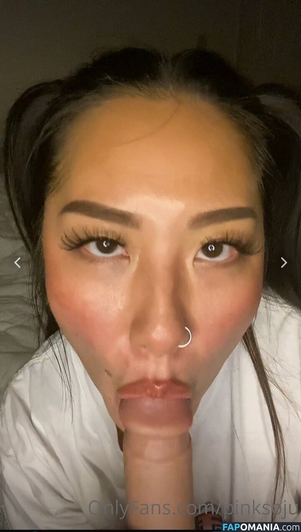 PlNKSOJU / denisetamsi / pinksoju Desnudo OnlyFans  Foto filtrada #11