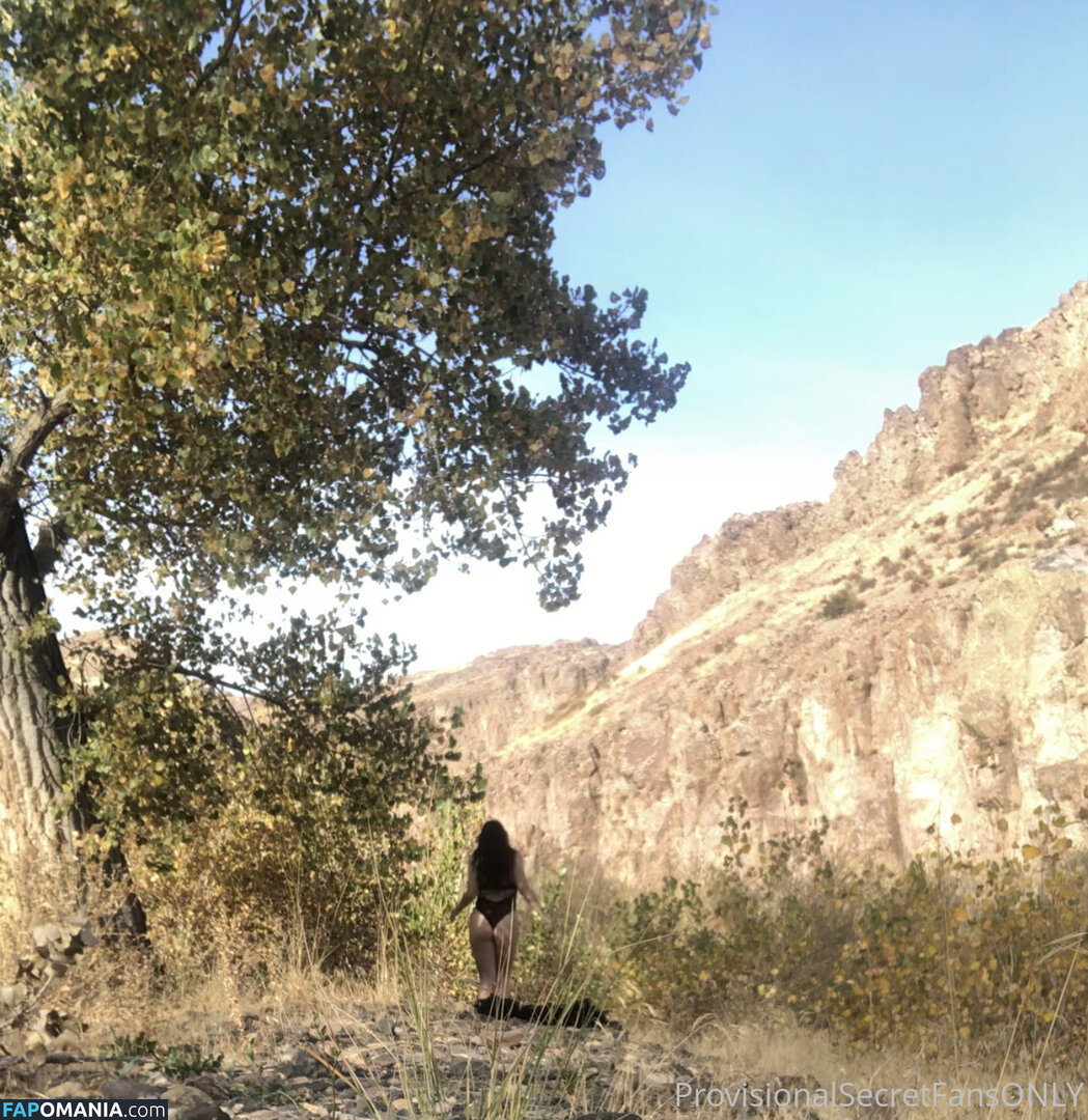 playfulsecret / provisionalsecret Desnudo OnlyFans  Foto filtrada #1