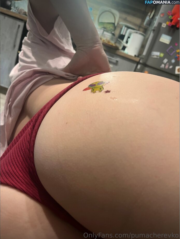 Margarita / Puma Cherevko / pumacherevko Desnudo OnlyFans  Foto filtrada #17