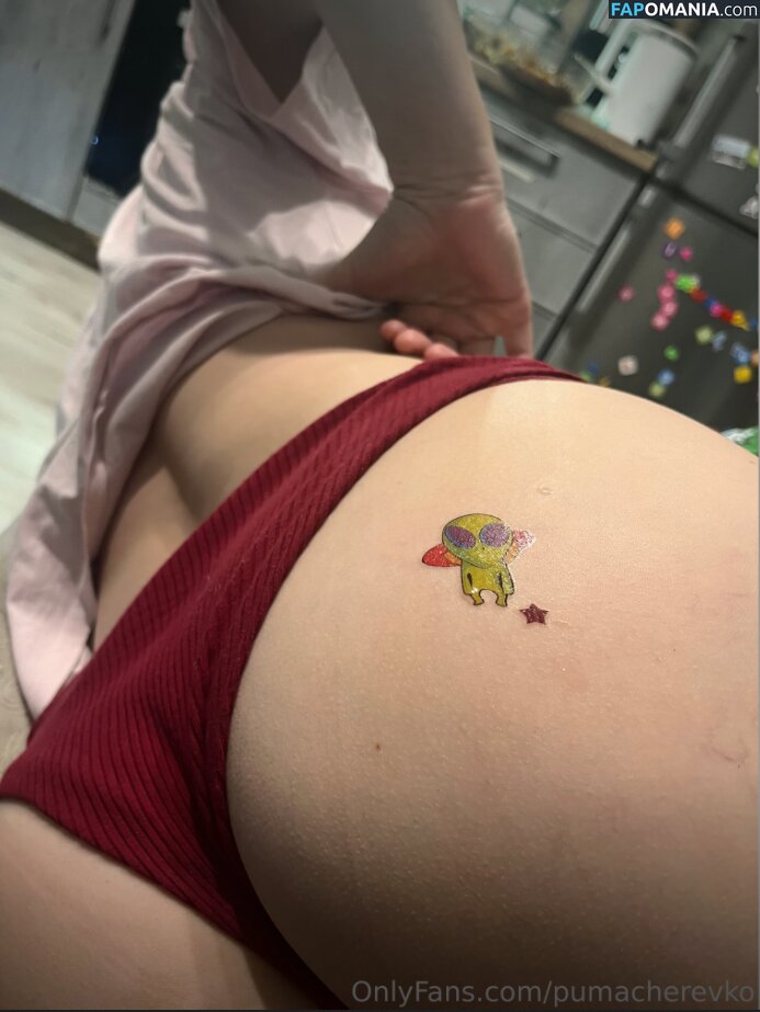 Margarita / Puma Cherevko / pumacherevko Desnudo OnlyFans  Foto filtrada #18