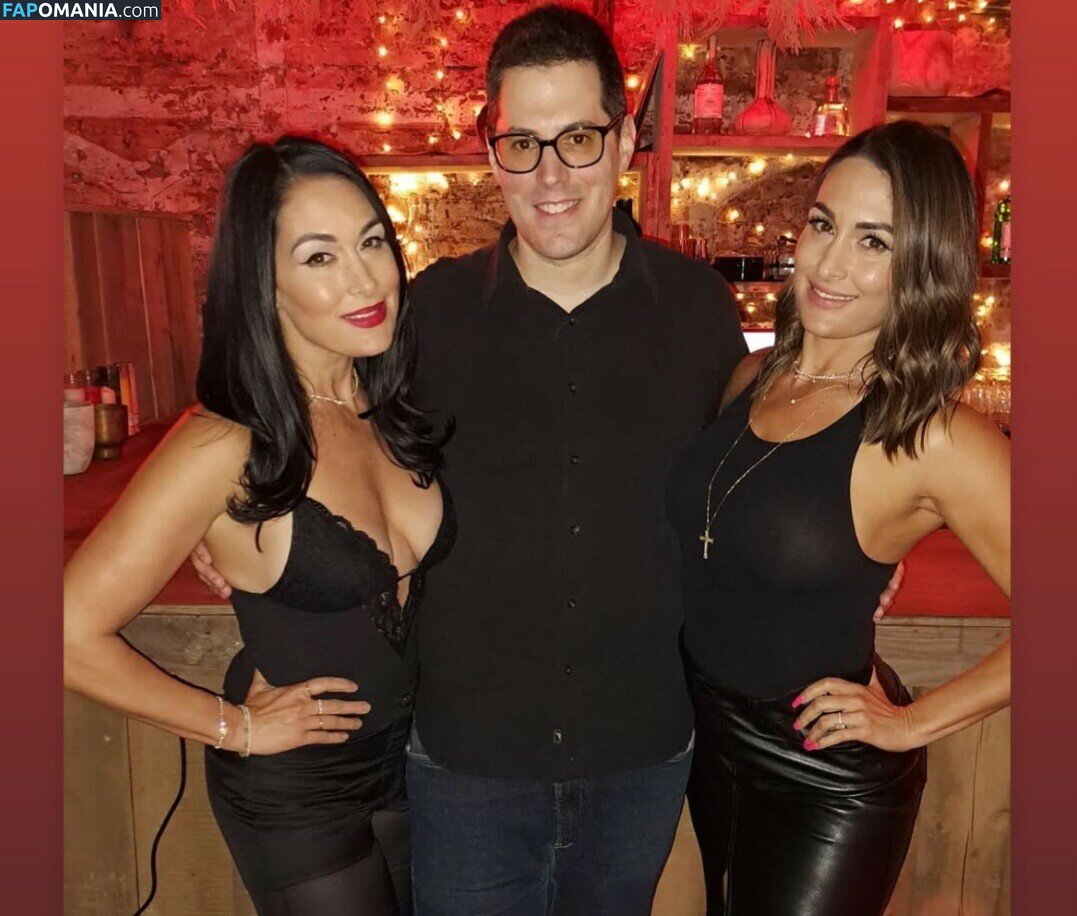 Nikki Bella & Brie Bella / The Bella Twins / thenikkibella Desnudo OnlyFans  Foto filtrada #202