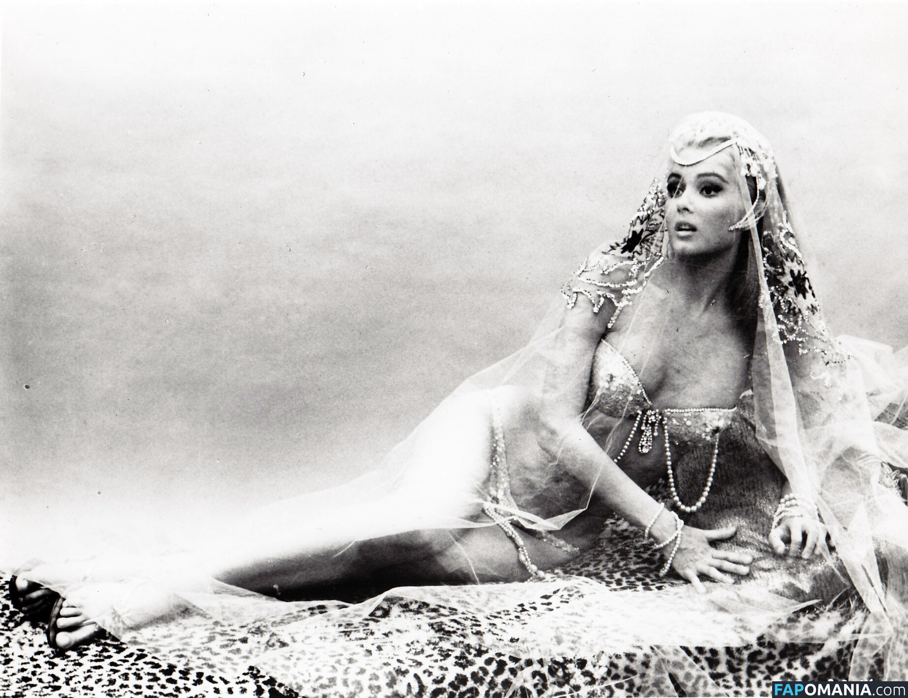 Vintage Starlets Desnudo OnlyFans  Foto filtrada #543