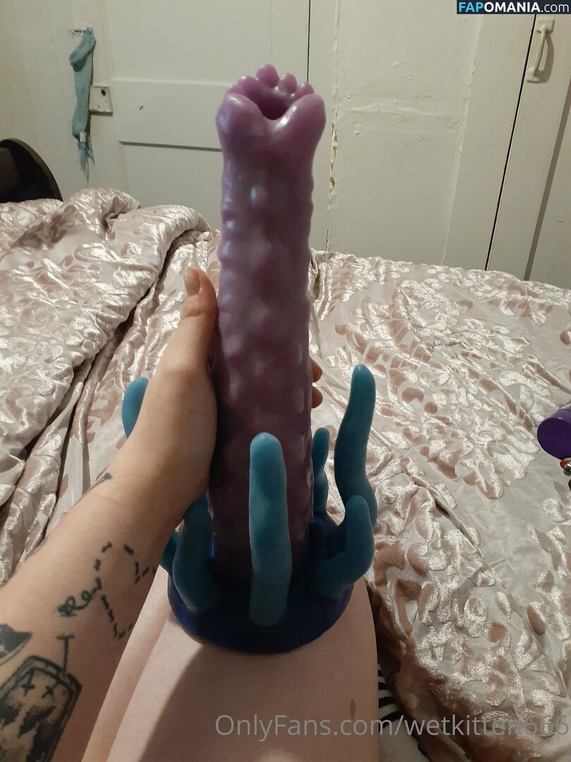 kitty.valentine.92372 / wetkitten666 Desnudo OnlyFans  Foto filtrada #13