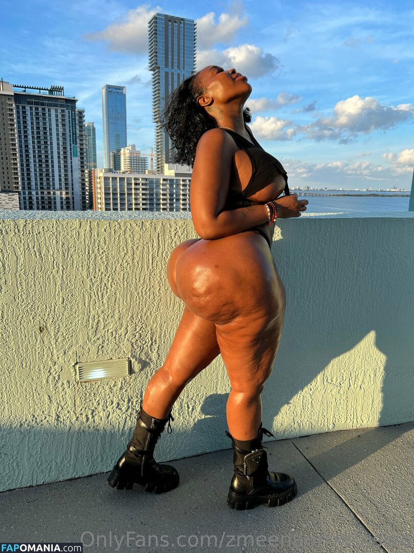 zmeenaorr / zmeenaorrxclusive Desnudo OnlyFans  Foto filtrada #12